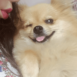 Mizzie