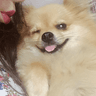 Mizzie